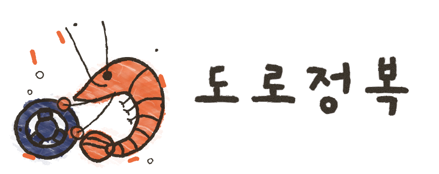 도로정복